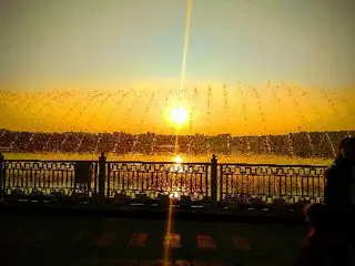 Аптека Сімейний Лікар — фото 2