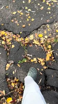 ІІ педіатричне — фото