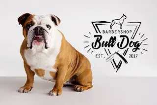 Barbershop "Bulldog" — фото