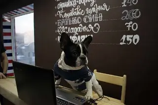 Barbershop "Bulldog" — фото 2