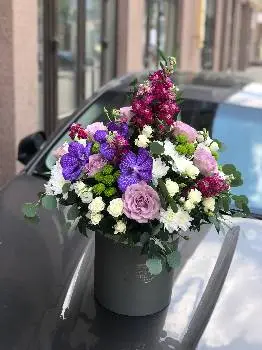 Fresh — фото 2
