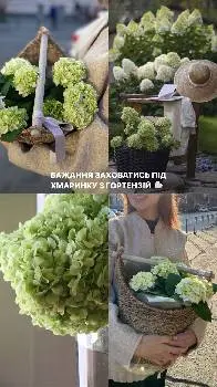 Доставка цветов Тернополь от Floristik — фото 5
