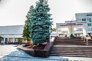 Західноукраїнський національний універиситет — фото 2