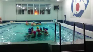 Комплексна дитячо-юнацька спортшкола №1 — фото 5