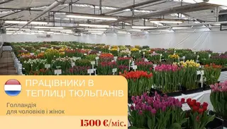 Робота за кордоном — фото 2
