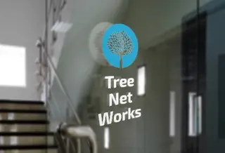 TreeNetWorks - Розробка сайтів та Просування — фото