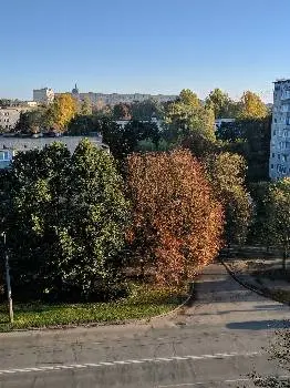 ТНВК медичний ліцей №15 імені Лесі Українки — фото 2