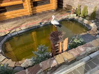 Два Медведі -Гостинний Двір — фото