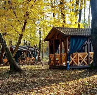 Рекреаційна зона Лісова Пісня — фото 2