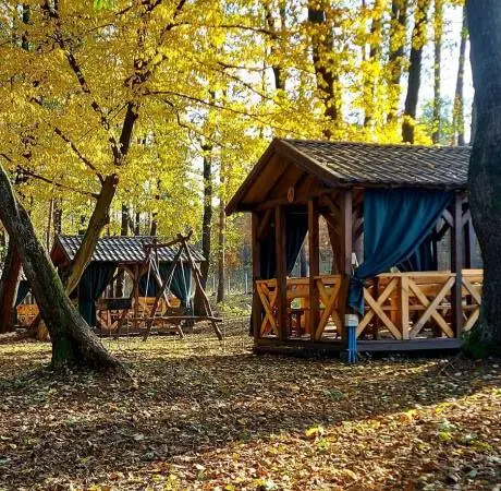 Рекреаційна зона Лісова Пісня — фото 2