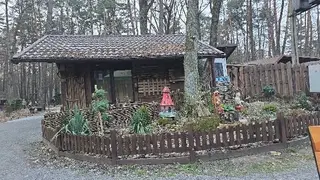 Рекреаційна зона Лісова Пісня — фото 5