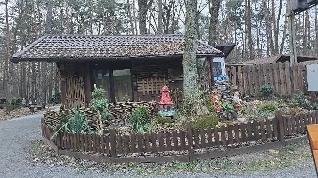 Рекреаційна зона Лісова Пісня — фото 5