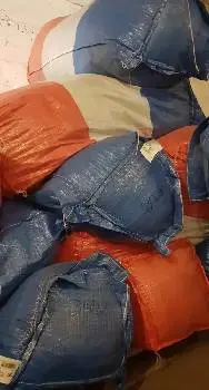 Новий стандарт — фото