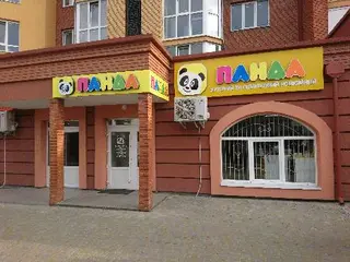 Панда — фото