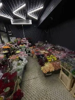 Million Flowers|Мільйон Квітів Богдана Хмельницького — фото 2