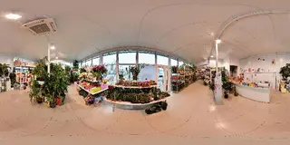Гуртовня квітів Floriya — фото 5