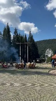 Відпочинок в Карпатах та Закарпатті — фото 3