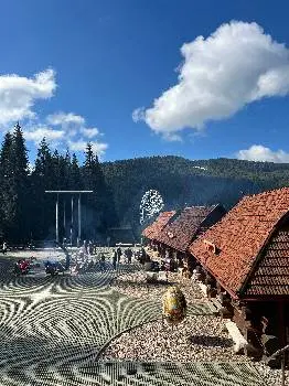 Відпочинок в Карпатах та Закарпатті — фото 4