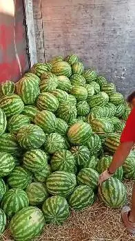 Послуги вантажників Тернопіль — фото 2