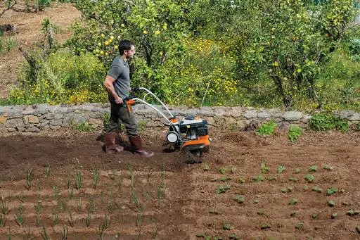 STIHL - магазин Інструменти - офіційний дилер — фото 5