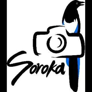 СОРОКА — фото 4