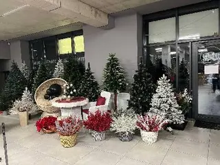Меблевий двір — фото