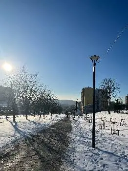 УЛЬТРАЗВУКОВА ДІАГНОСТИКА (УЗД) — фото 4