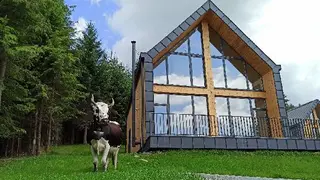 EkoBil - сучасні біосептик та автономна каналізація — фото