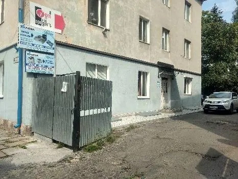 Хелена — фото 3