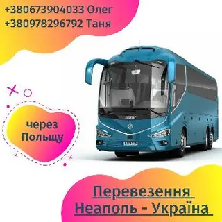 NapoliExpress Пасажирські і вантажні перевезення — фото 3