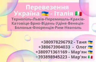 NapoliExpress Пасажирські і вантажні перевезення — фото 4