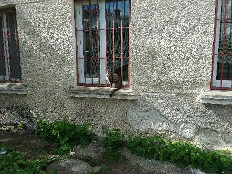 ЦЕНТР СОЦІАЛЬНО-ПСИХОЛОГІЧНОЇ РЕАБІЛІТАЦІЇ ДІТЕЙ СЛУЖБИ У СПРАВАХ ДІТЕЙ ТЕРНОПІЛЬСЬКОЇ ОБЛАСНОЇ ДЕРЖАВНОЇ АДМІНІСТРАЦІЇ — фото 2
