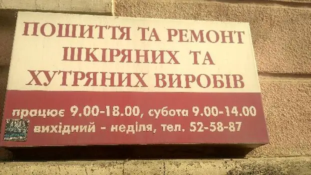 Модеста — фото 3