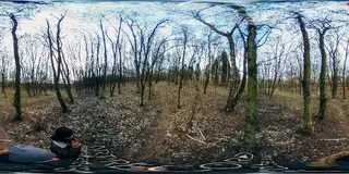 Довідка про несудимість Тернопіль, апостиль Тернопіль — фото