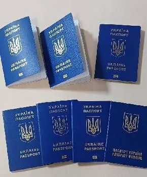 Автострахування, автономера/ Медичне страхування, візи/ Фото, ксерокс — фото