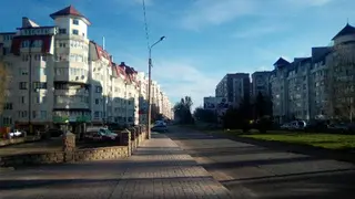 Пам'ятний знак Євгену Коновальцю — фото 2