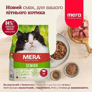 Клуб котів "Селіна" WCF cat club — фото 4
