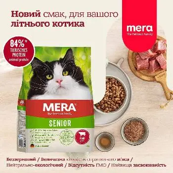 Клуб котів "Селіна" WCF cat club — фото 4