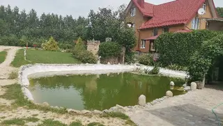 Хуторок «ВЮН» — фото