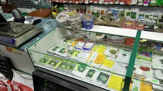 Світ Насіння. Засоби захисту рослин, добрива, насіння. — фото 5