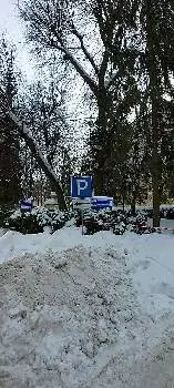 Пологовий будинок Медінституту — фото 4