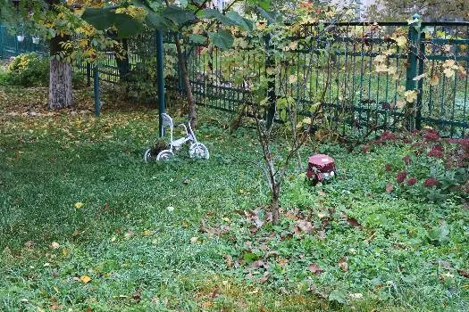 Бібліотека №2 для дітей — фото 3
