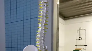 Центр здоров'я спини "HEALTHY SPINE" — фото 4