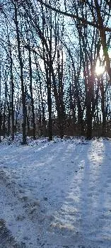 Церква Всіх Святих Землі Української — фото 3
