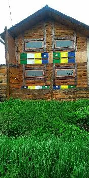 Пасіка (Спання на бджолиних вуликах) — фото 5