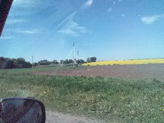 ПАТ ПТАХОФАБРИКА ТЕРНОПІЛЬСЬКА — фото 3