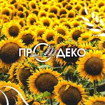 ПРОДЕКО — фото 4