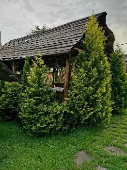 ТЕРНОПІЛЬСЬКЕ ОБЛАСНЕ УПРАВЛІННЯ ЛІСОВОГО ТА МИСЛИВСЬКОГО ГОСПОДАРСТВА — фото 4