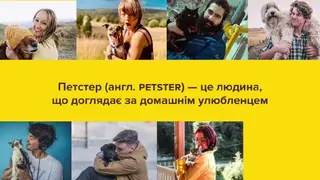 Зоомагазин Petster — фото 2