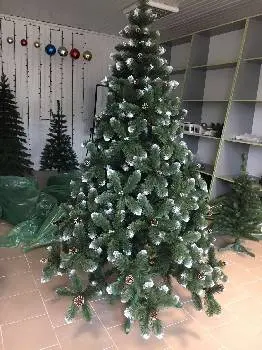 ПП ЯЛИНКА УКРАЇНИ — фото